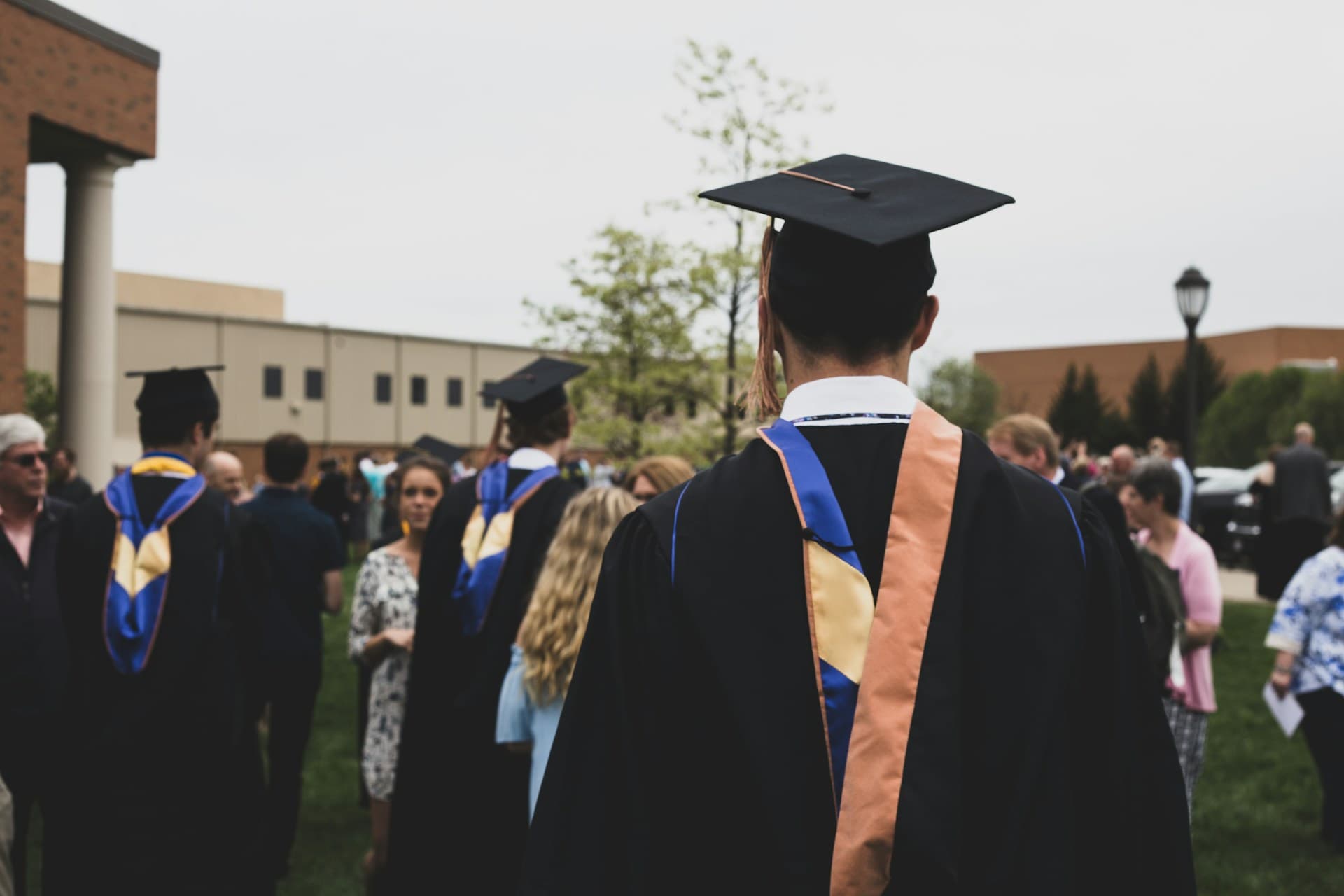 Turning Study Dreams Into Global Success